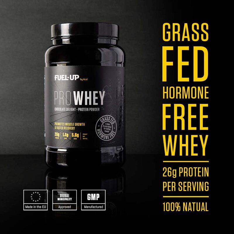 PROWHEY - Grass Fed and Hormone Free Whey Protein - 26g of protein per serving - Chocolate Delight - 2lb